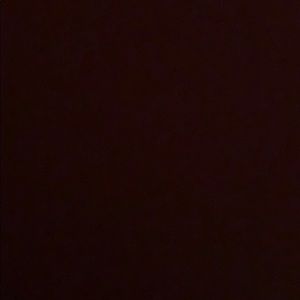 Meet your Posher, Paige